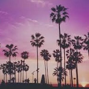 Meet your Posher, Hazel